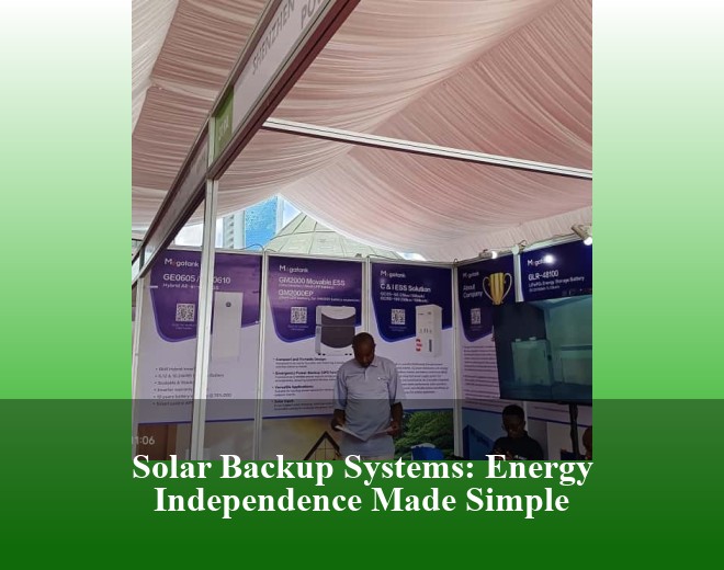 Solar Backup Systems: Energy Independence Made Simple